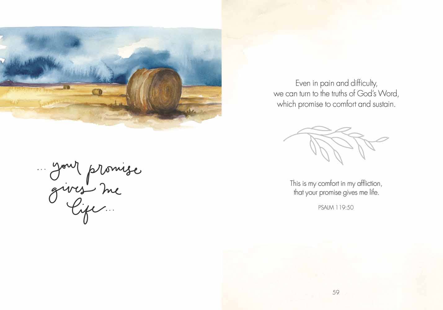 Fields of Joy, Book