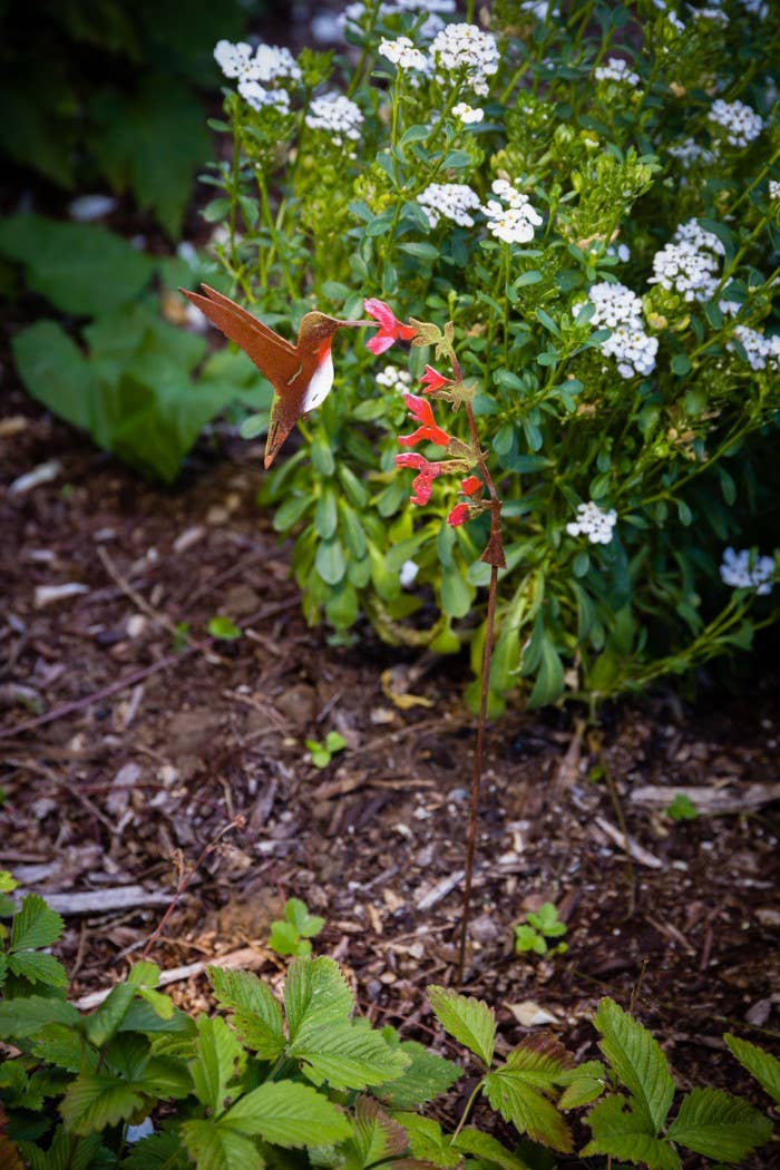 Elegant Garden Design - Hummingbird on Salvia Pick -Painted