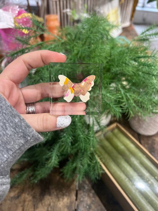 The Painted Petal - Butterfly Lucite Block