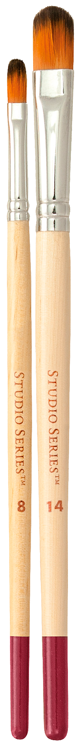 Artist's Paintbrush Set