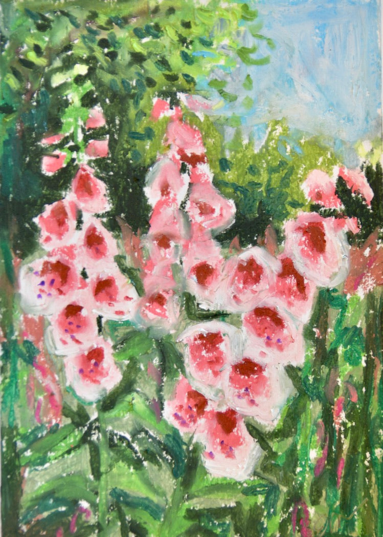 Foxgloves Signed Print