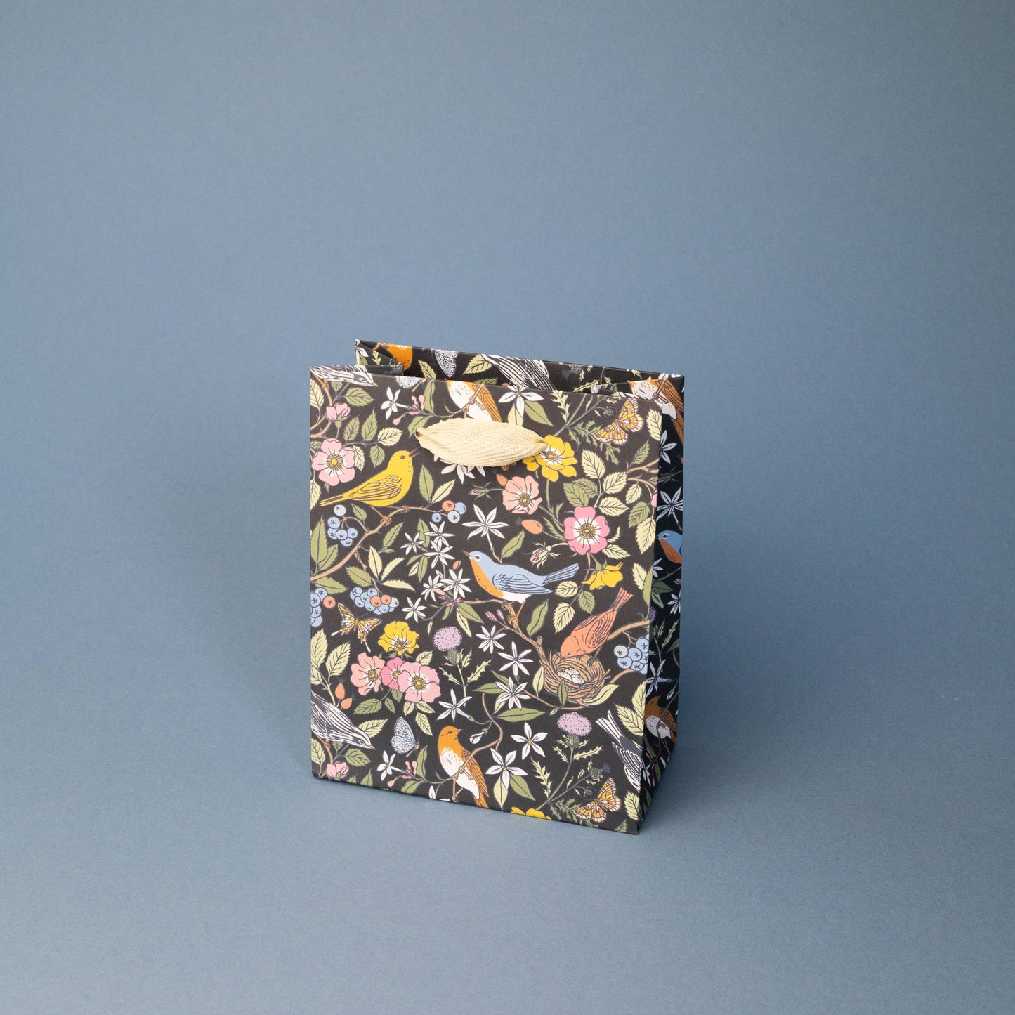 Botanica Paper Co. - SONG BIRDS | SMALL GIFT BAG