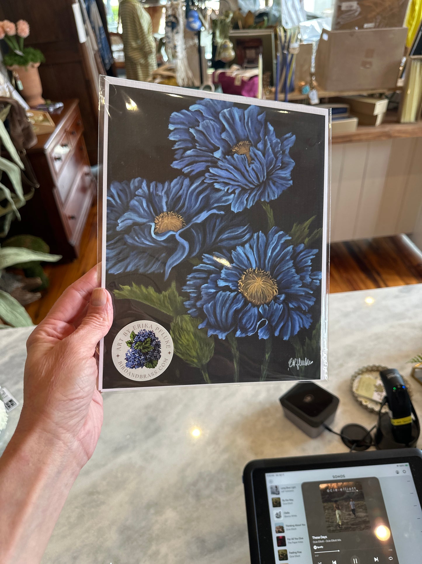 Blue Poppies Signed Art Print