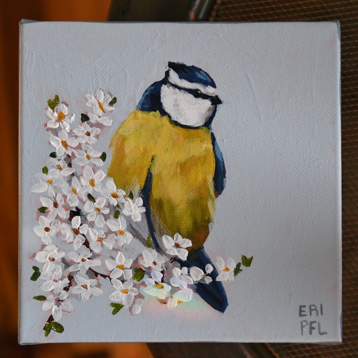 A Bird A Day No 6: The Blue Tit