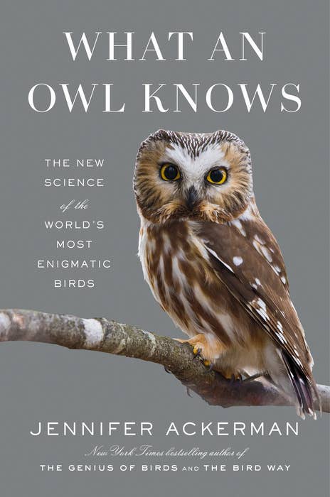 Penguin Random House LLC - What An Owl Knows