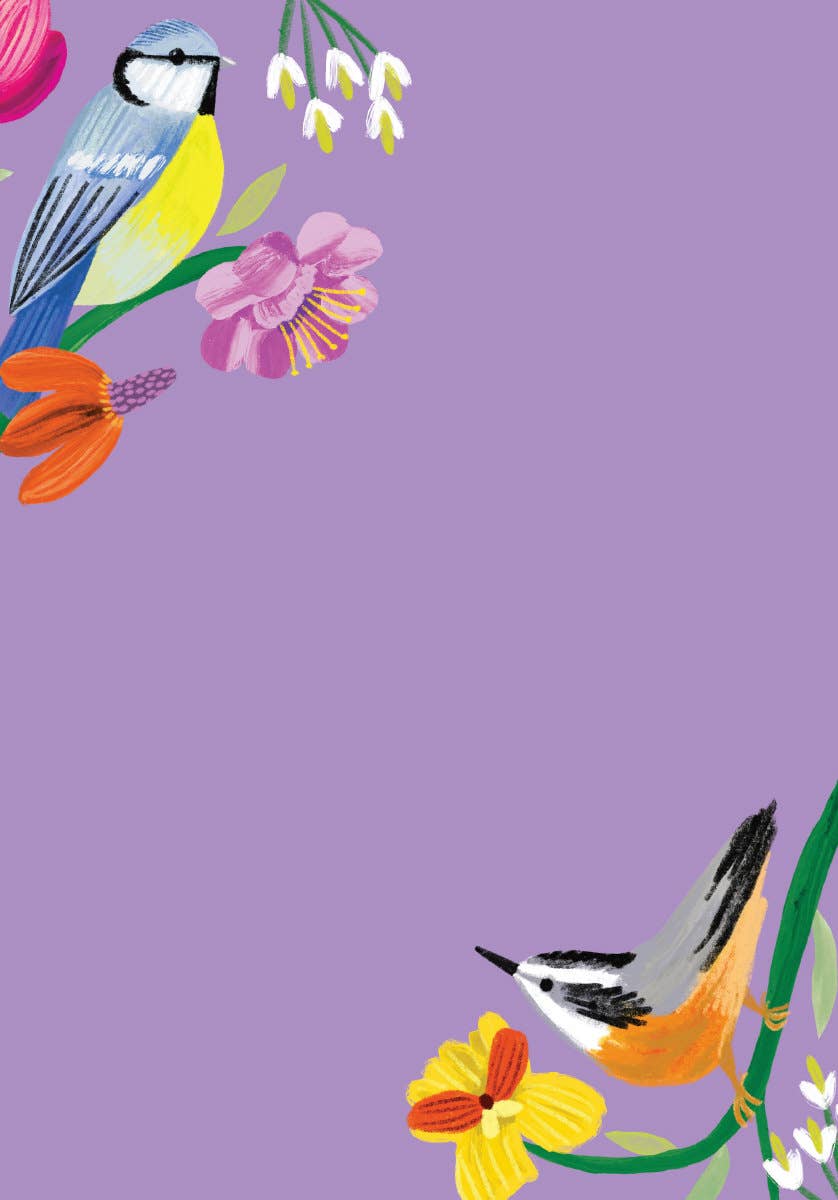 Roger La Borde - Birdhaven Writing paper set - WS 074