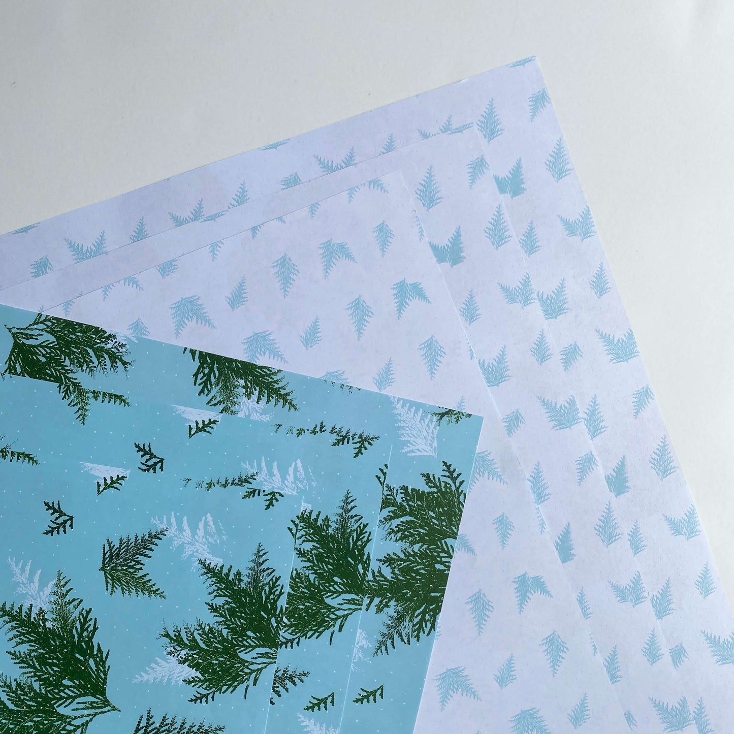 Ballard & Prescott - Cedars by Day Wrapping Paper