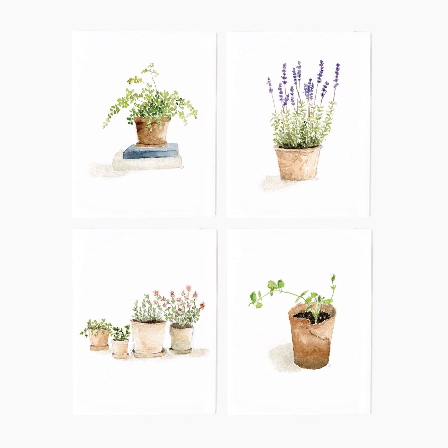 emily lex studio - Potted plants notecard set