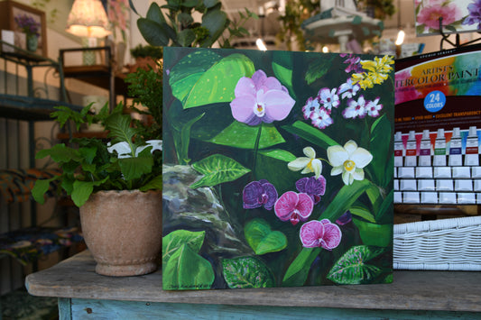 Orchids