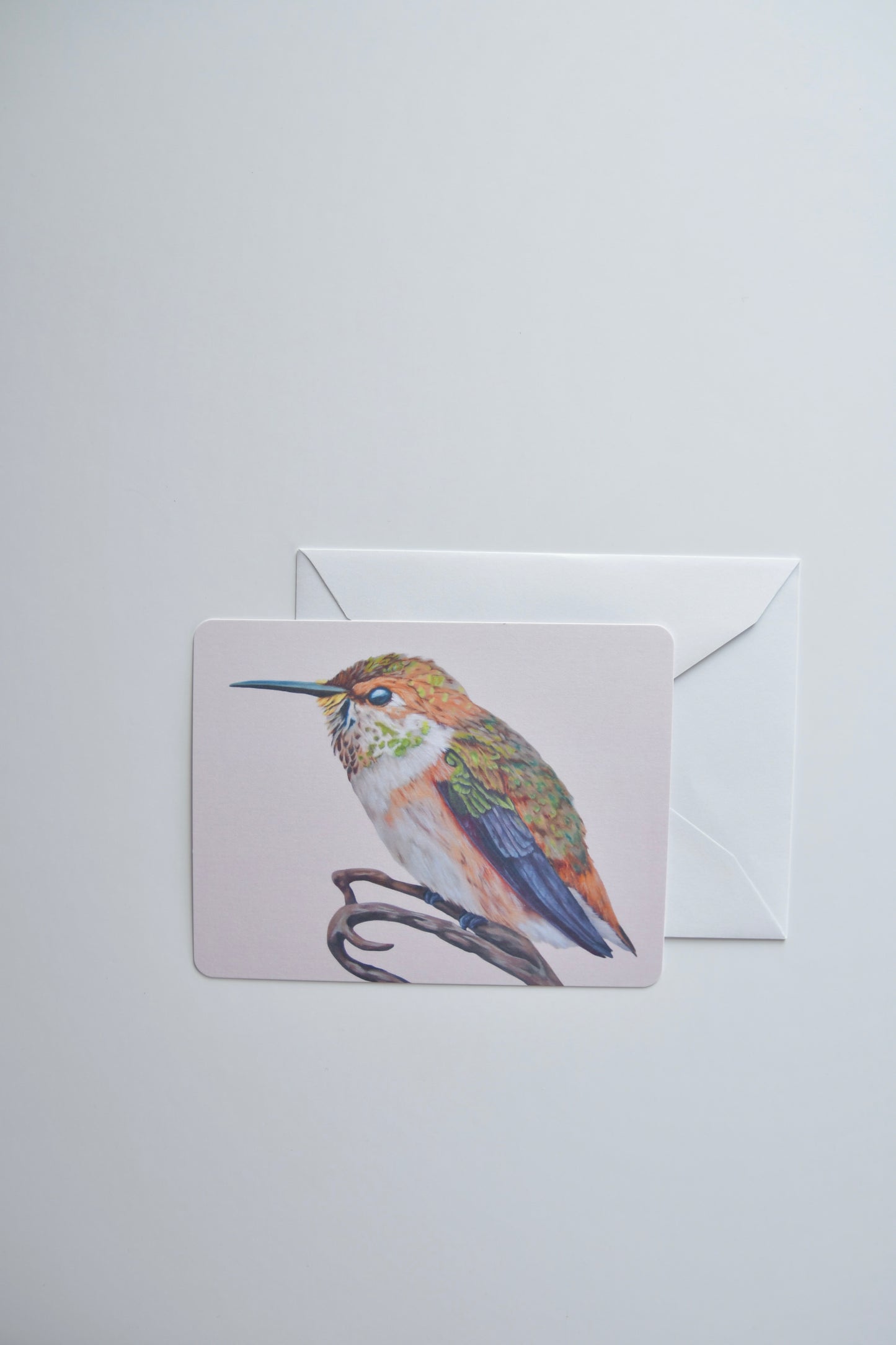 Rufous Hummingbird Notecard Set