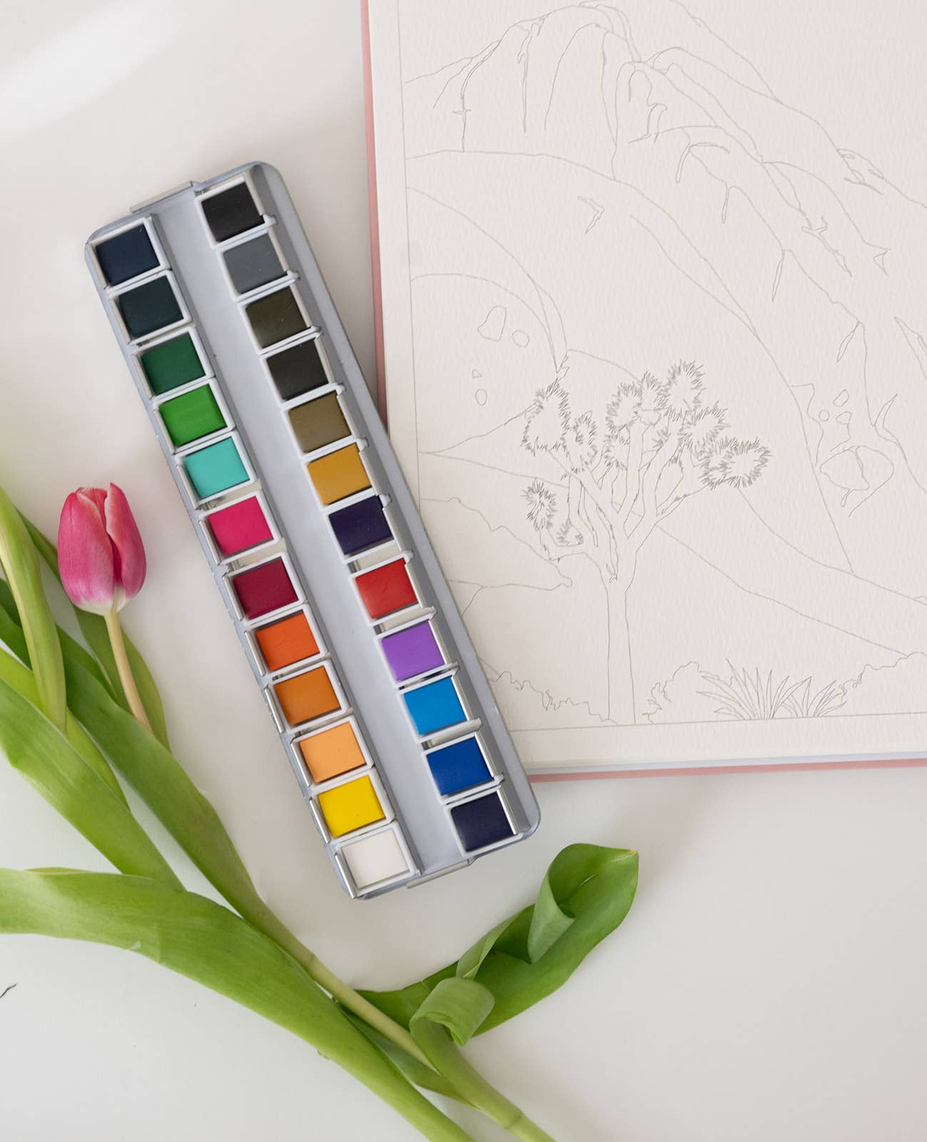 Bailey Rae Studio - 24 Color Watercolor Paint Palette