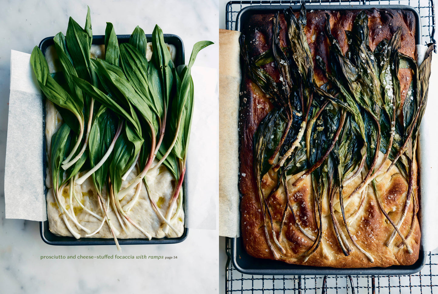 Penguin Random House LLC - Rooted Kitchen
