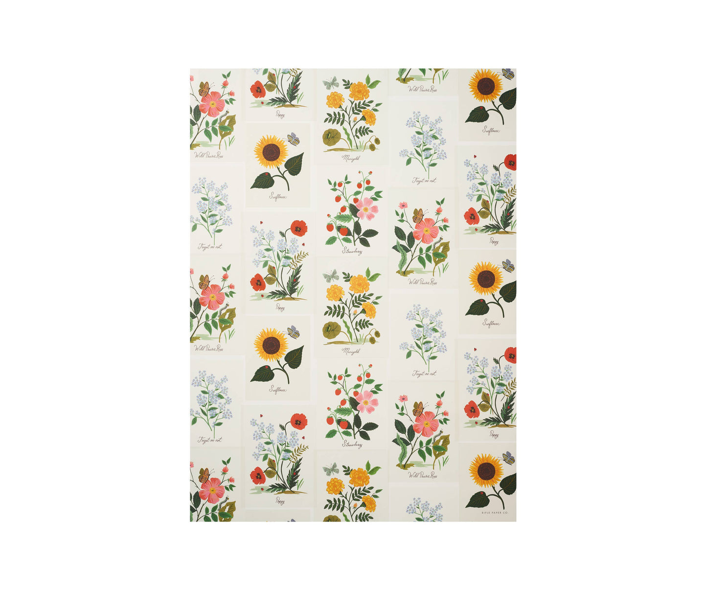 Rifle Paper Co. - Botanical Wrapping Sheet (Roll of 3)