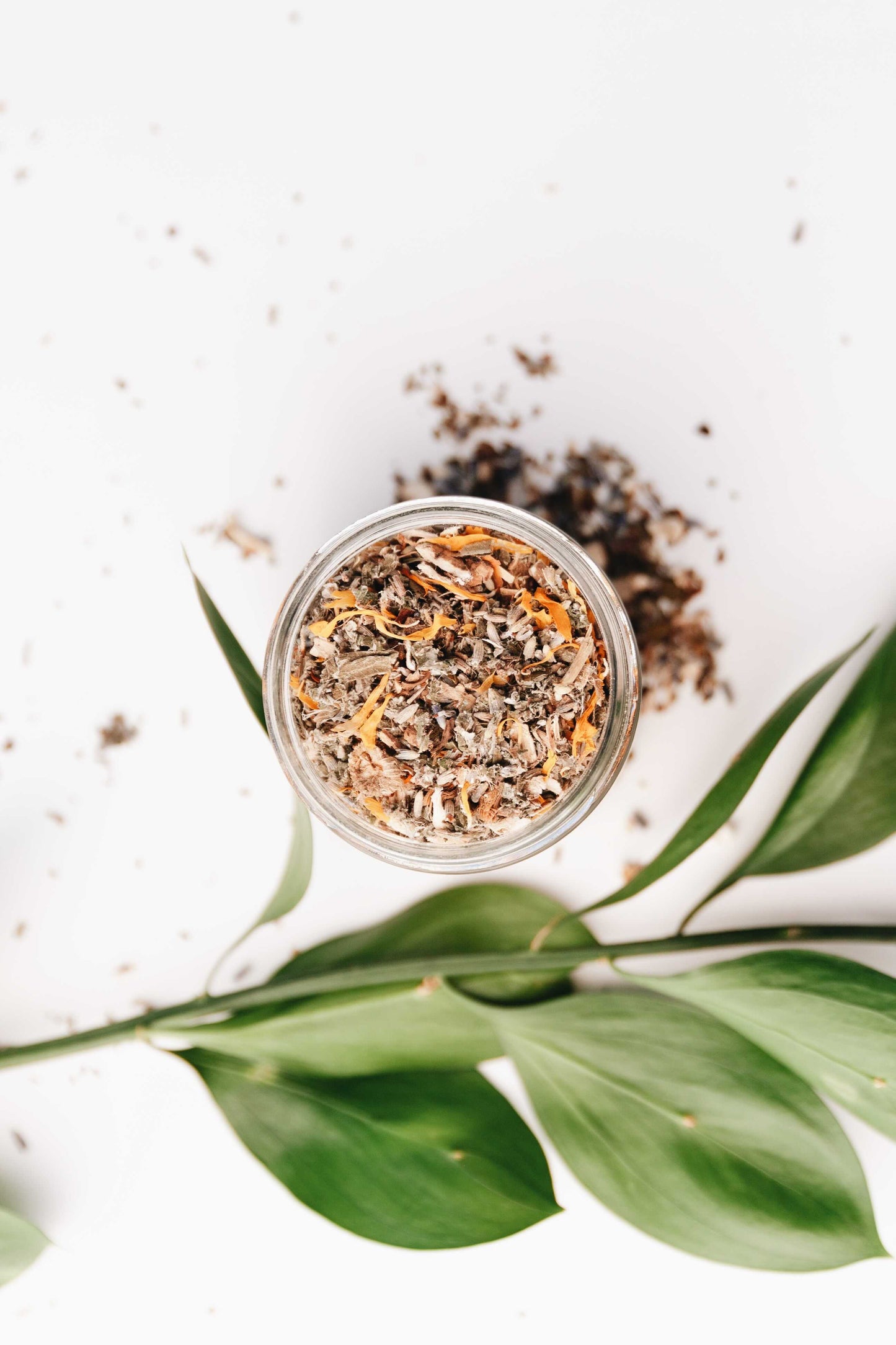 Slow North - Herbal Facial Steam