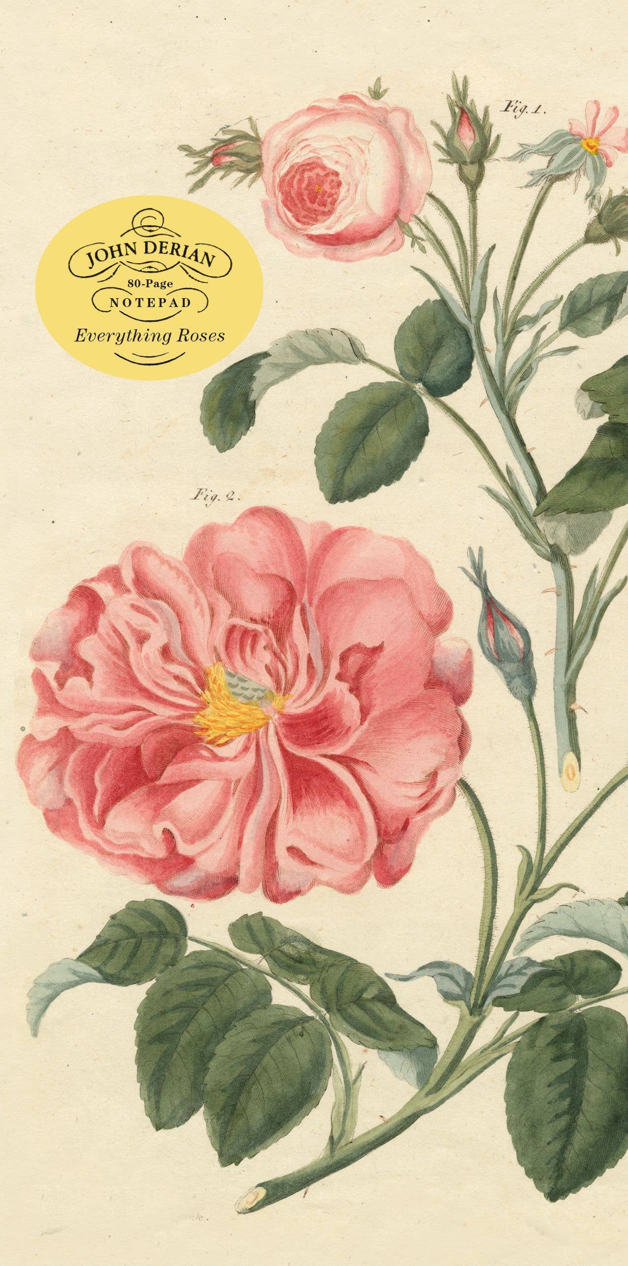 Hachette Book Group - John Derian Paper Goods: Everything Roses Notepad