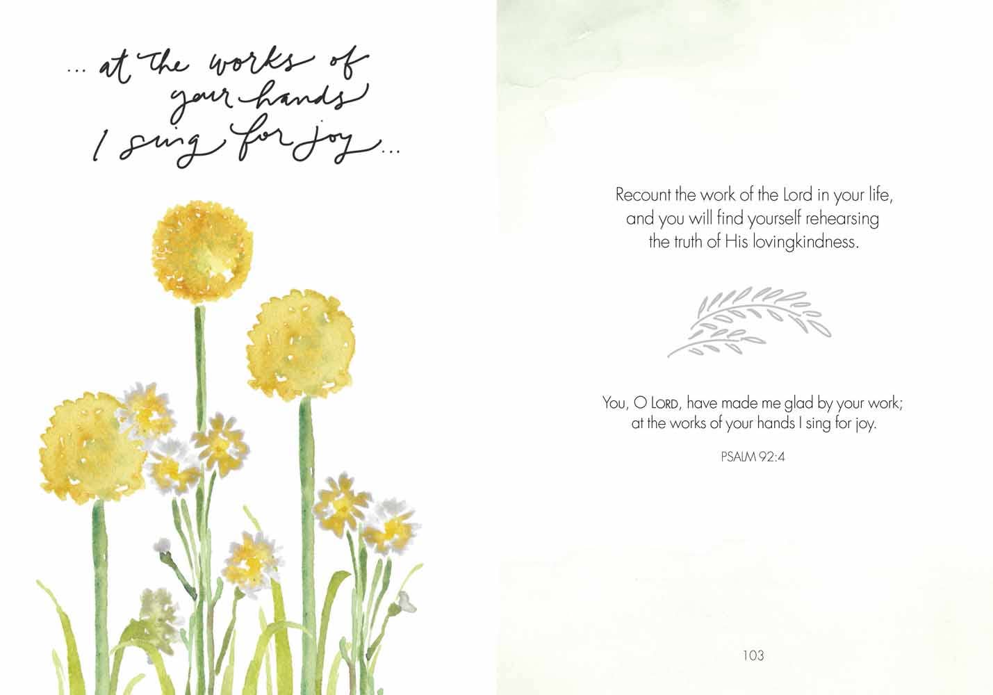 Fields of Joy, Book