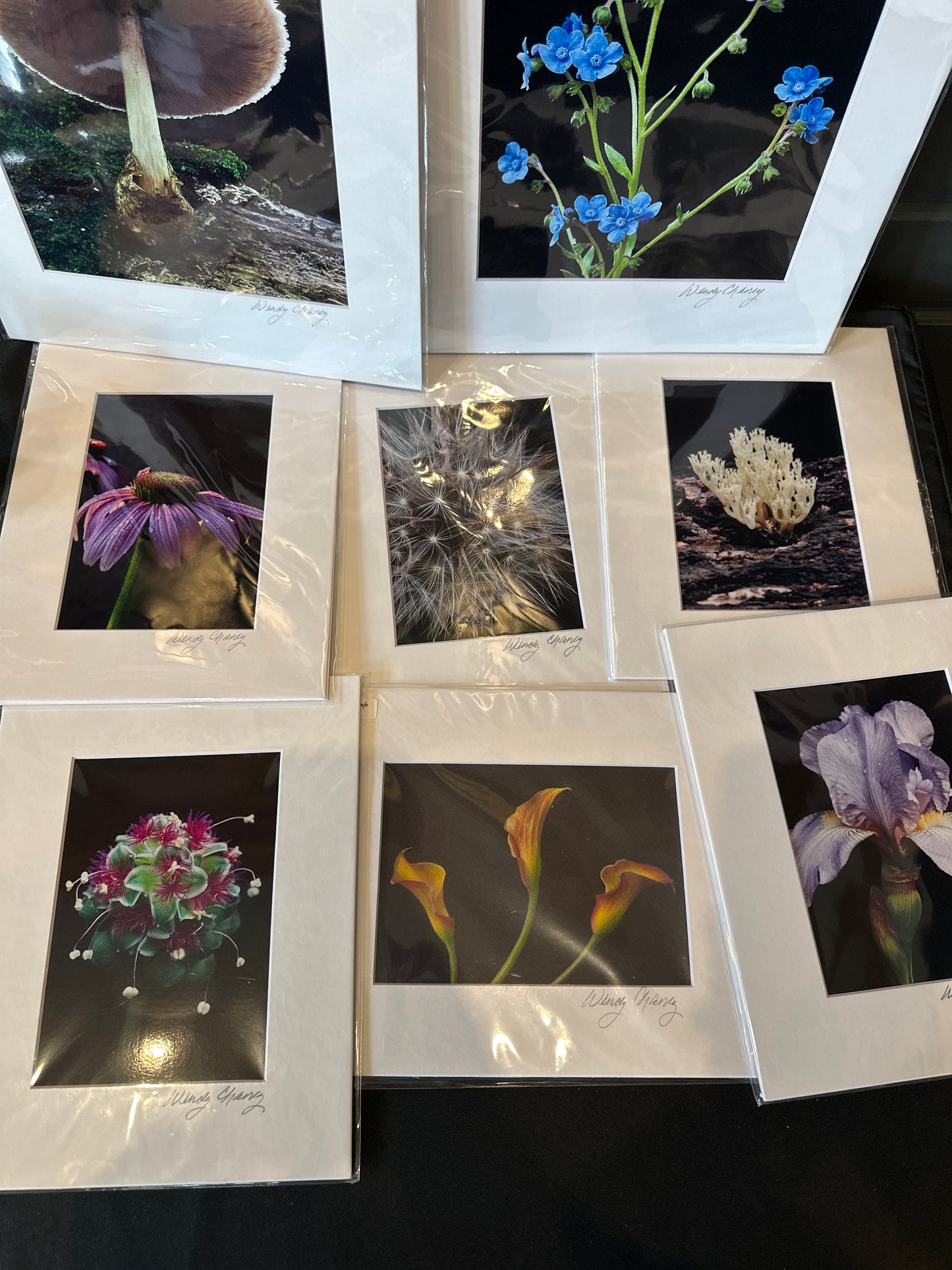 5x7 Matted Print by Wendy Chaney
