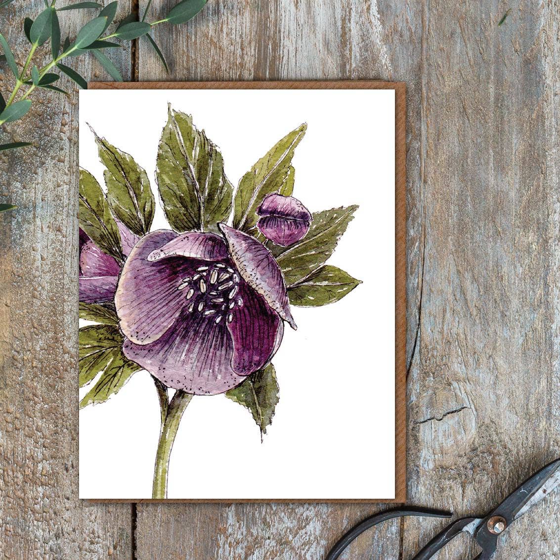 Toasted Crumpet - Hellebore Card