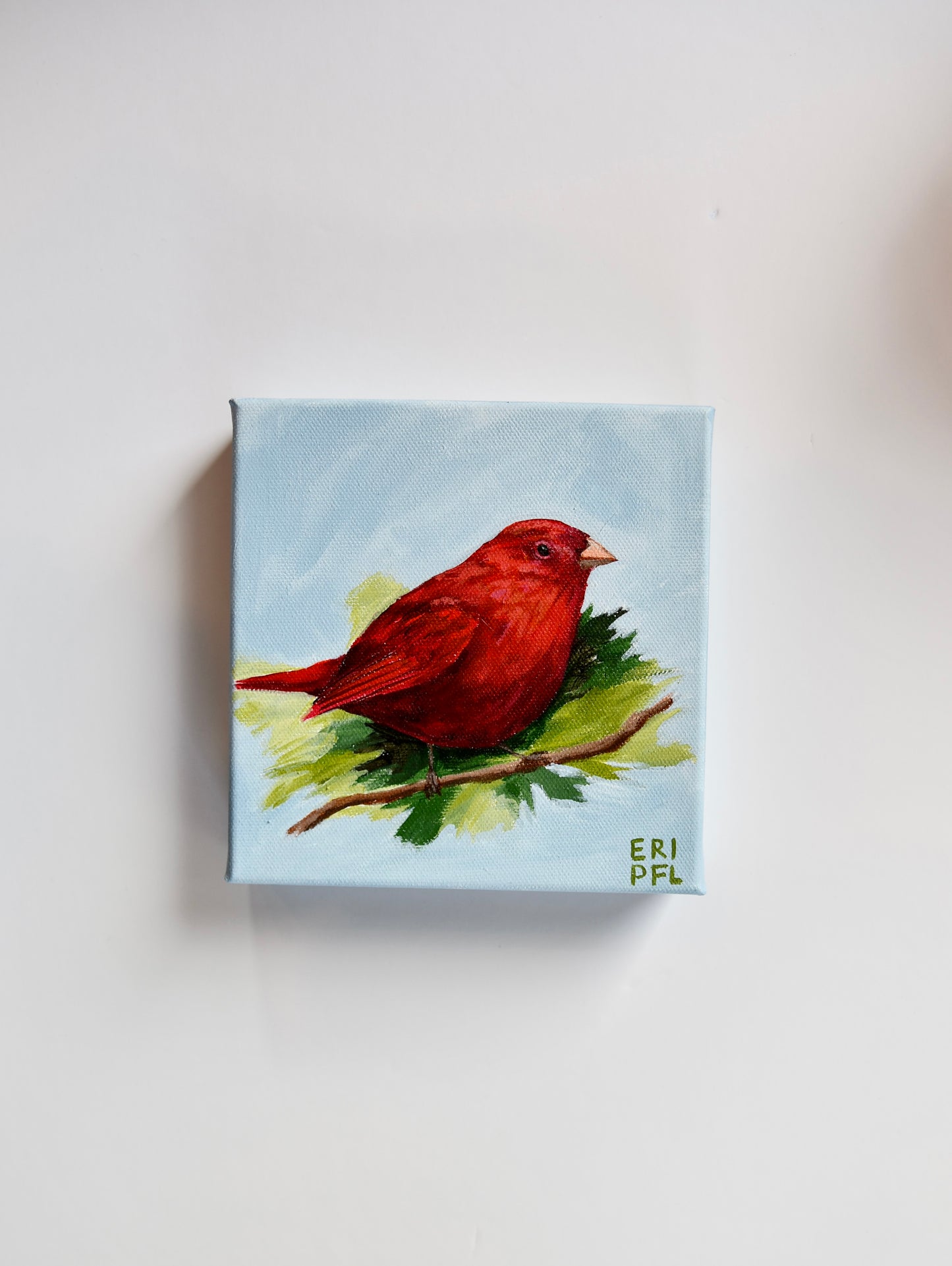 A Bird A Day No 17: The Summer Tanager