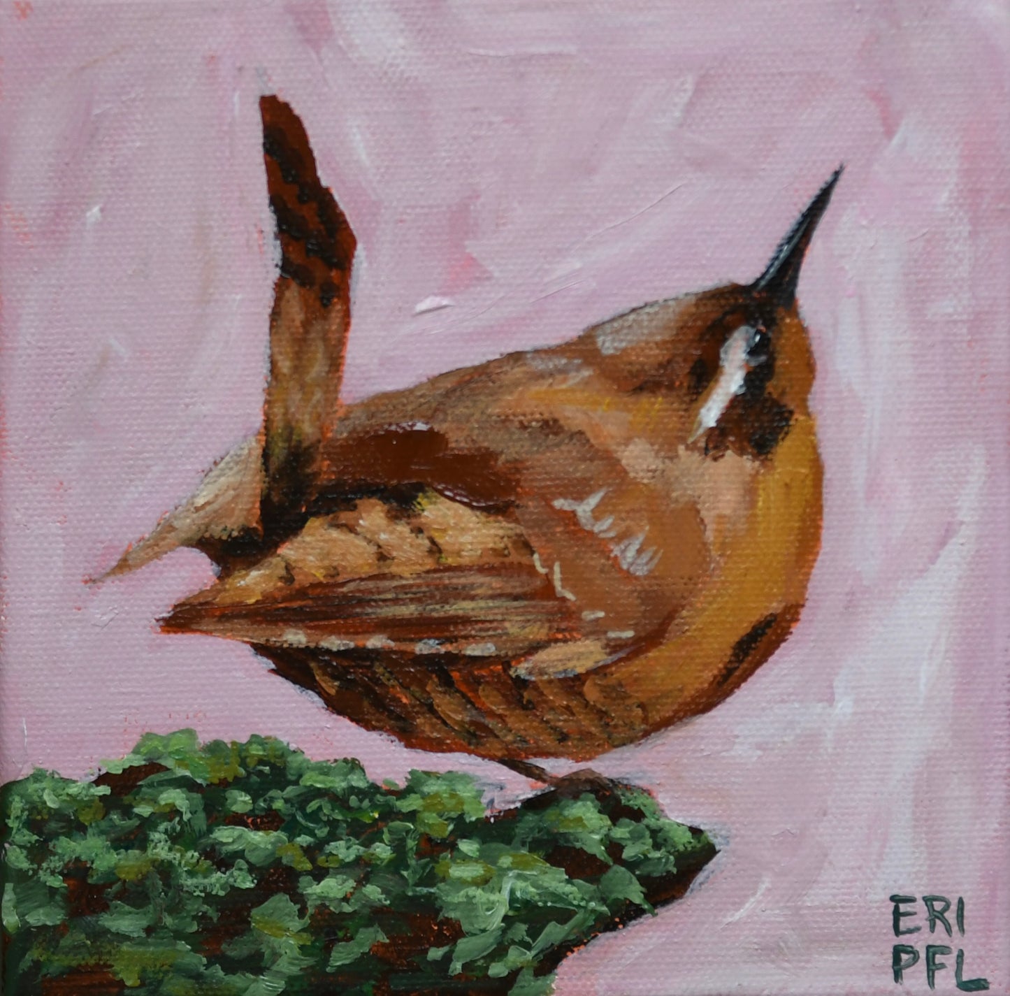 A Bird A Day No 9: The Wren
