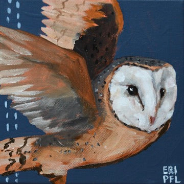 A Bird A Day No 10: The Barn Owl