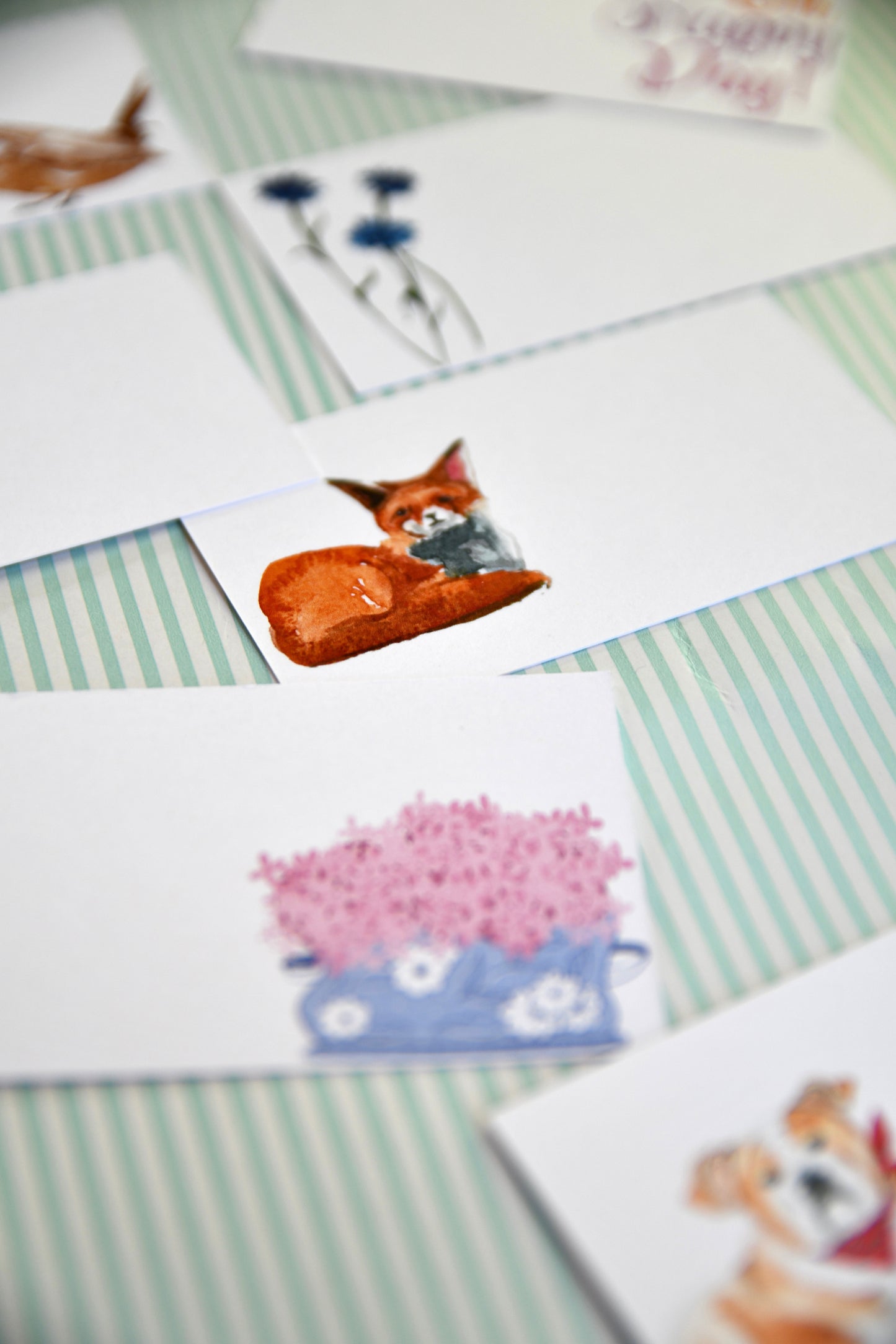 Bleuet Calling Cards