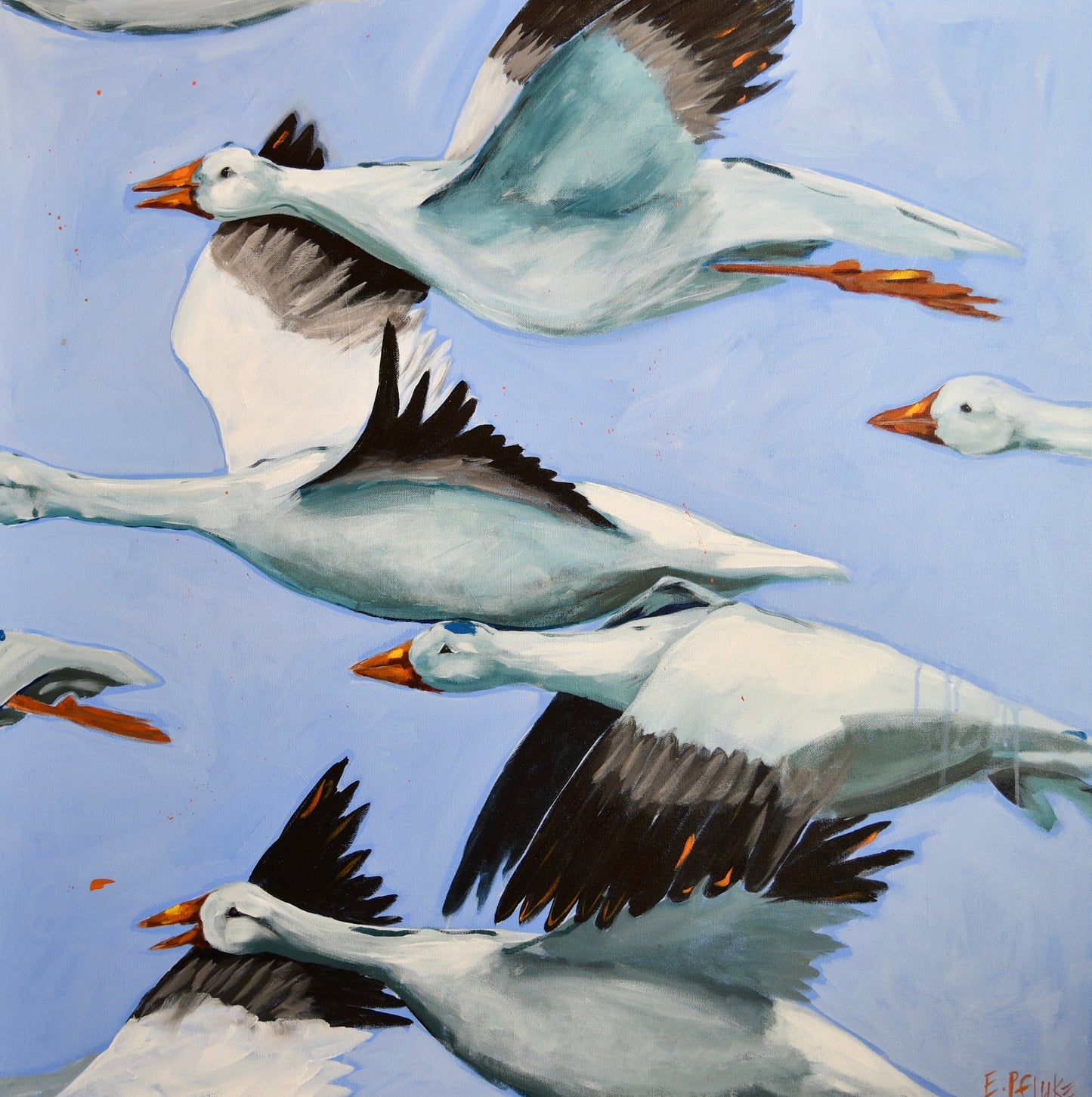 All Aflight Art Print