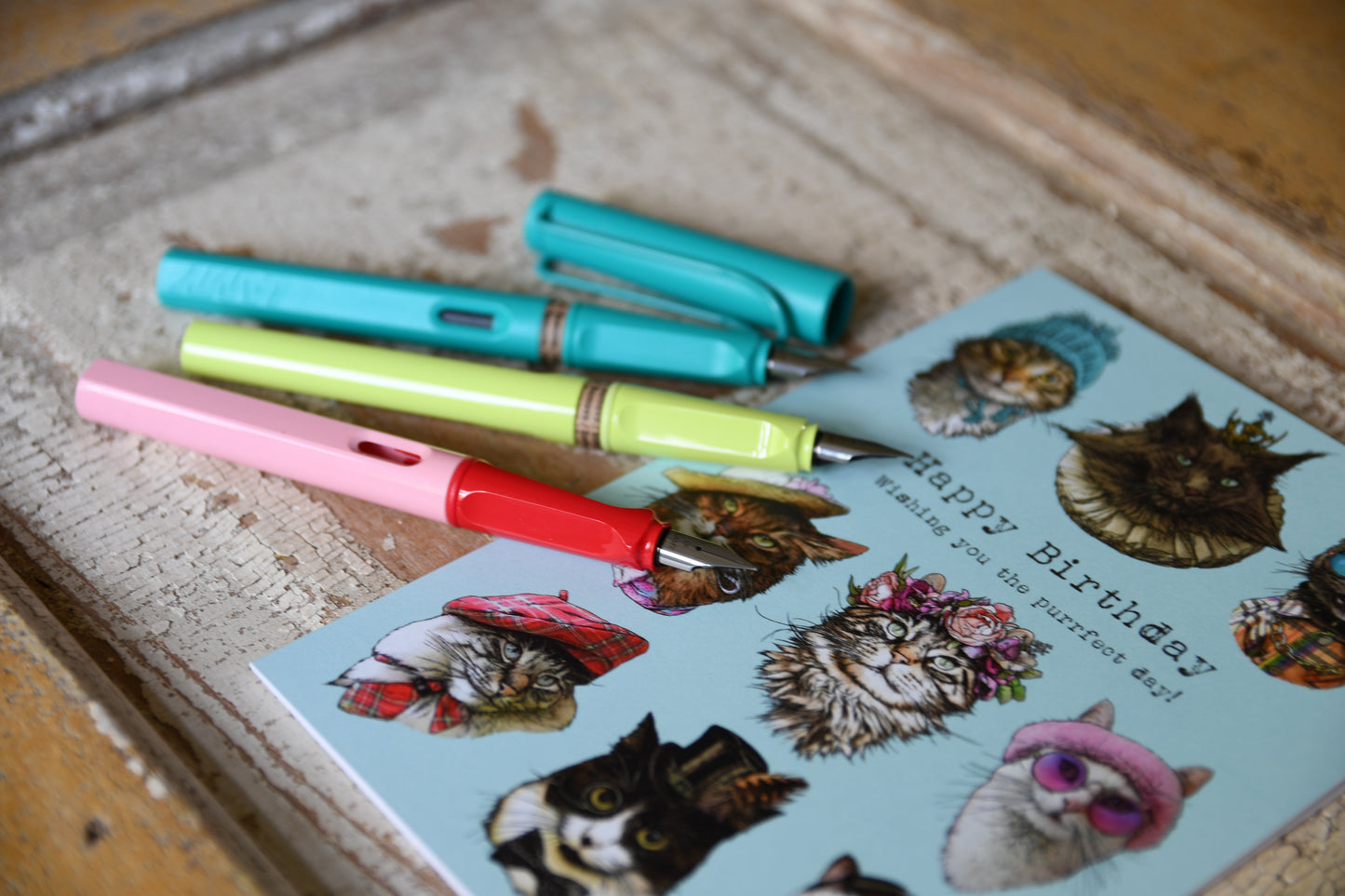 LAMY Fountain Pen White