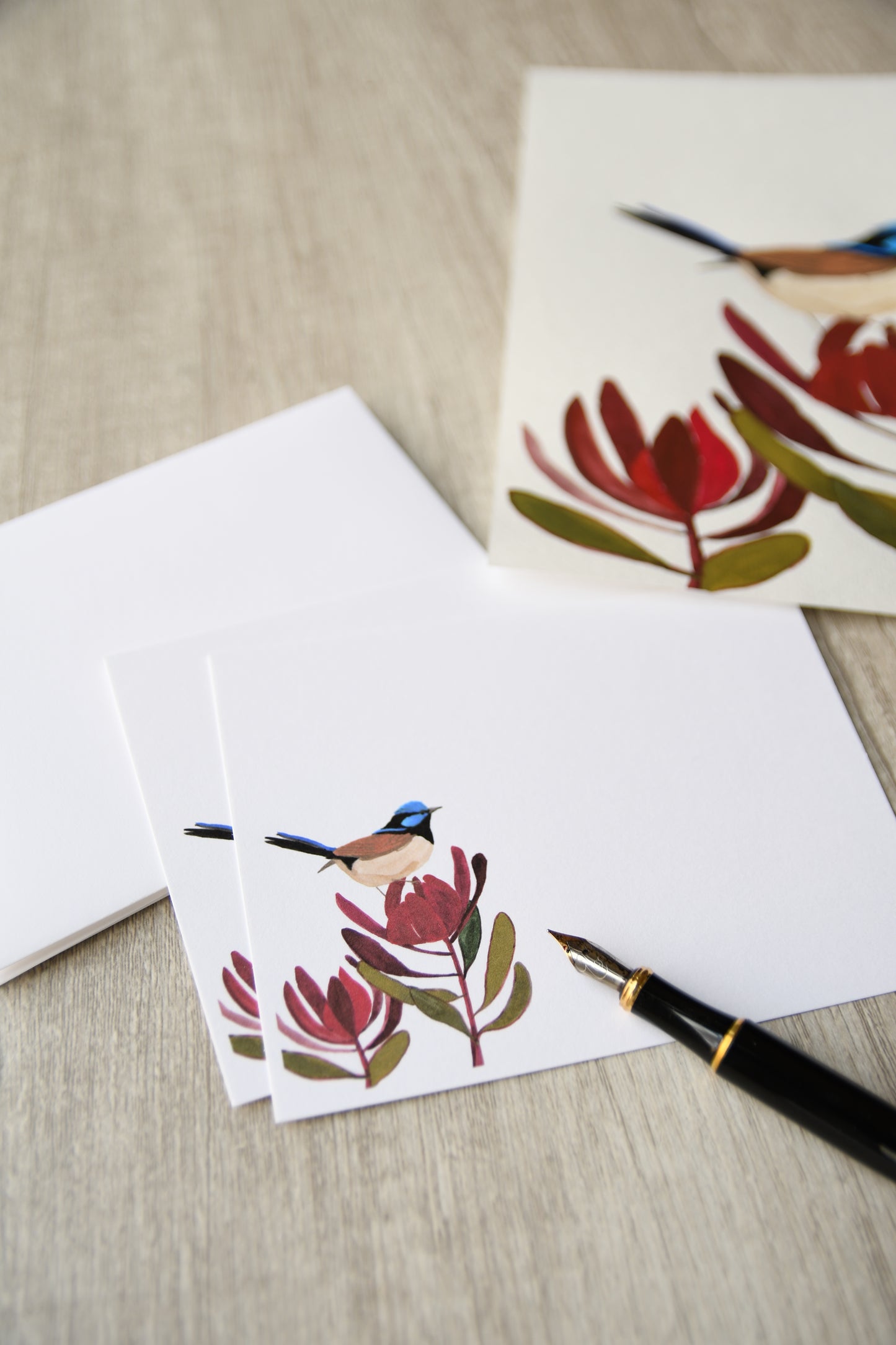 Superb Fairy Wren Personalized Notecards