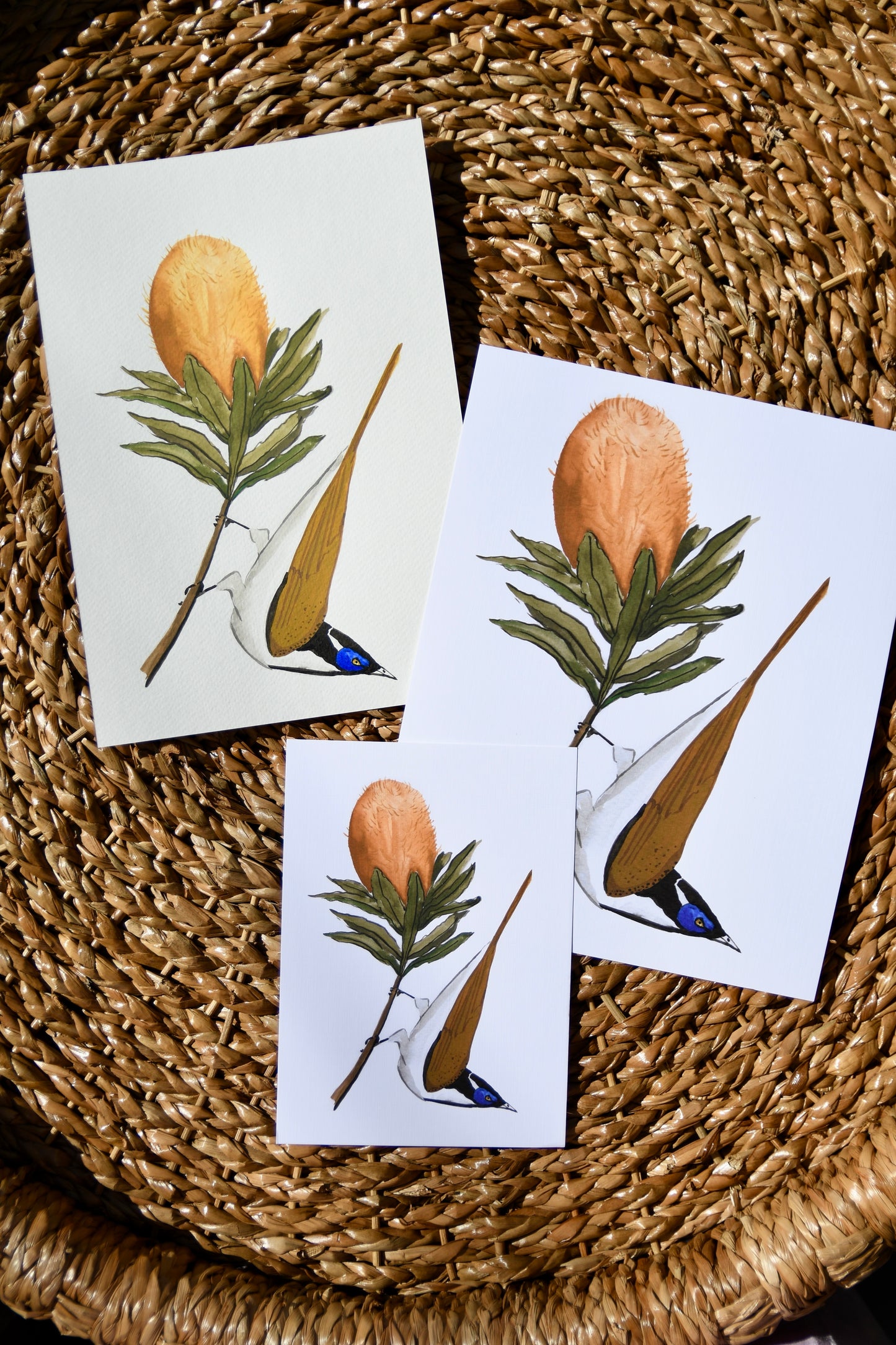 Blue Faced Honey Eater Art Print