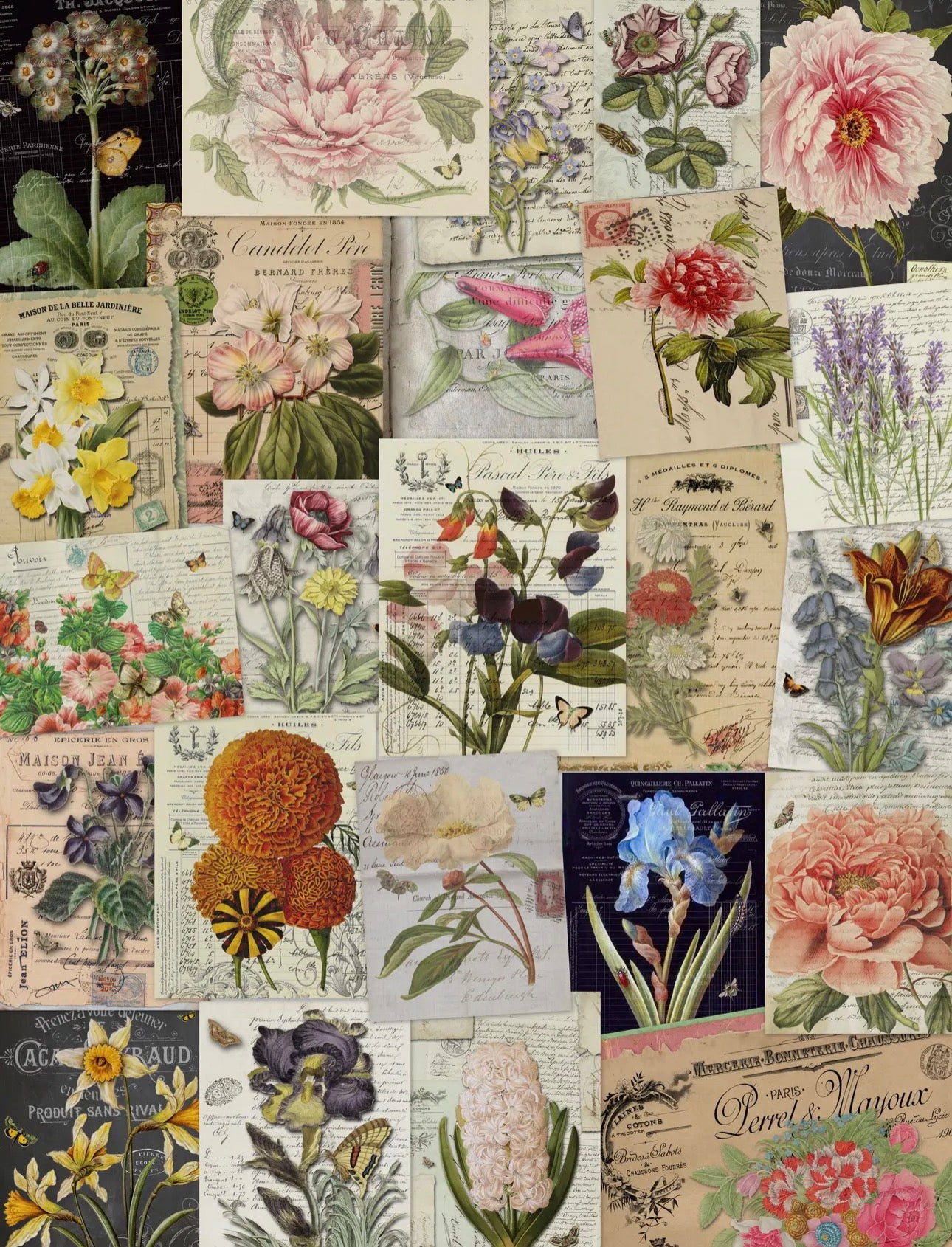 Vintage Reproduction Prints/Papers