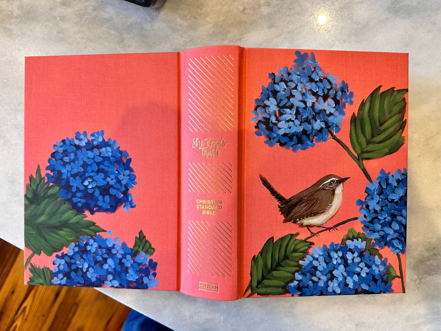 Hand painted Wren Bible