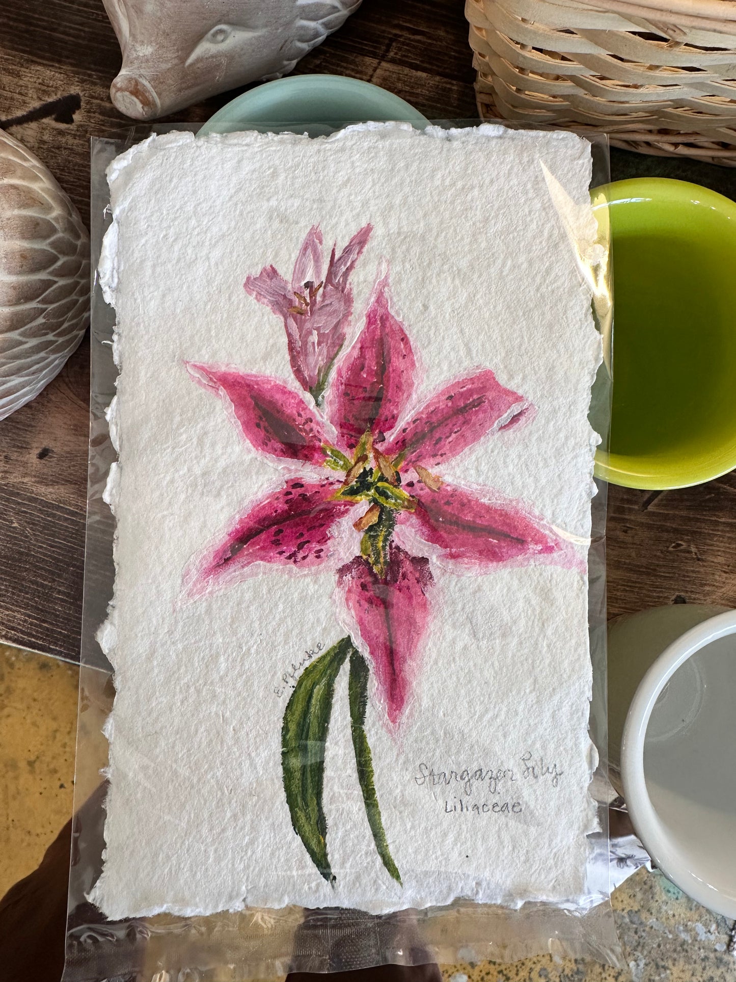 8x5" Assorted Nature Original Art with Deckled Edges