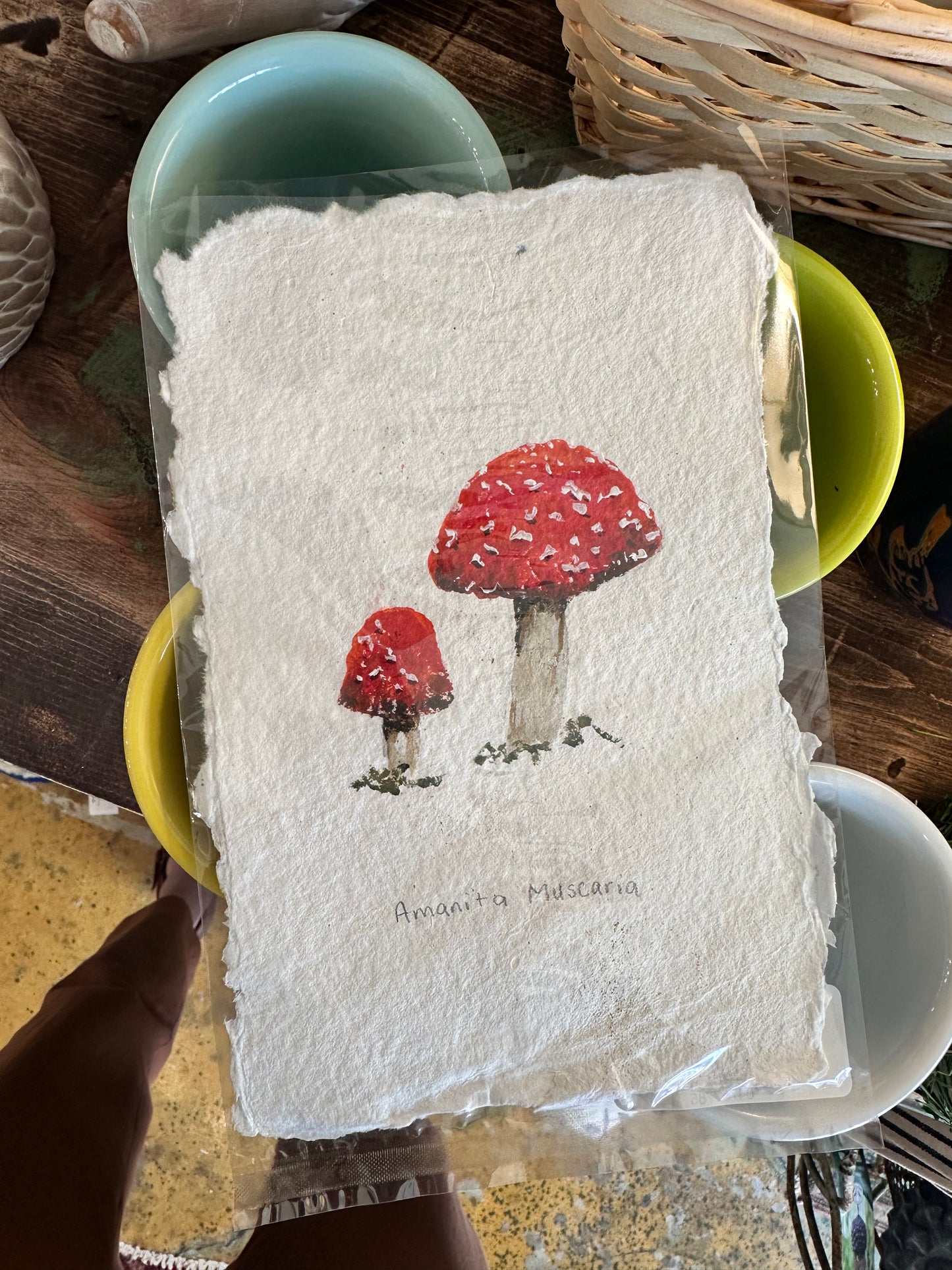 8x5" Assorted Nature Original Art with Deckled Edges