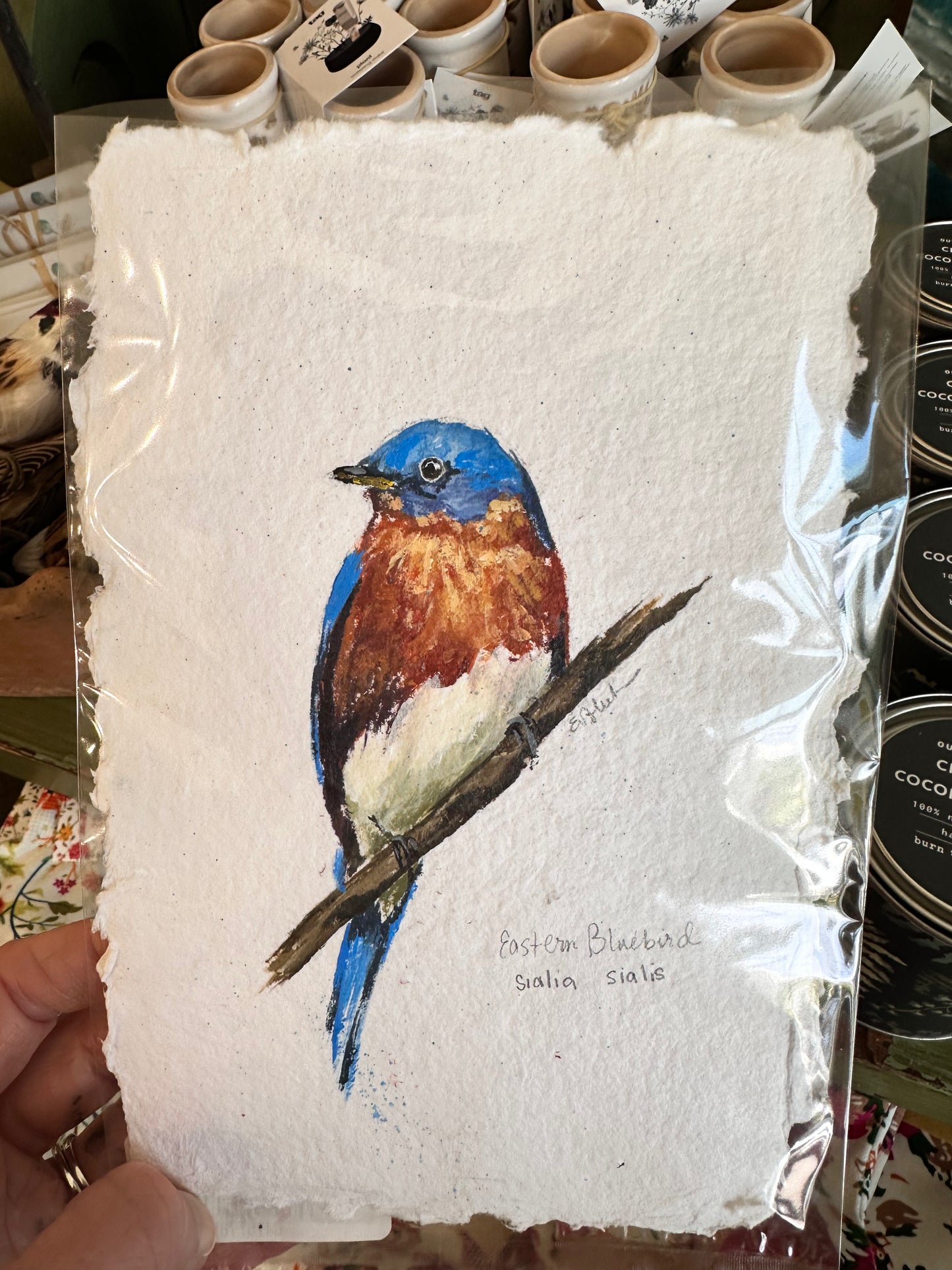 8x5" Assorted Nature Original Art with Deckled Edges