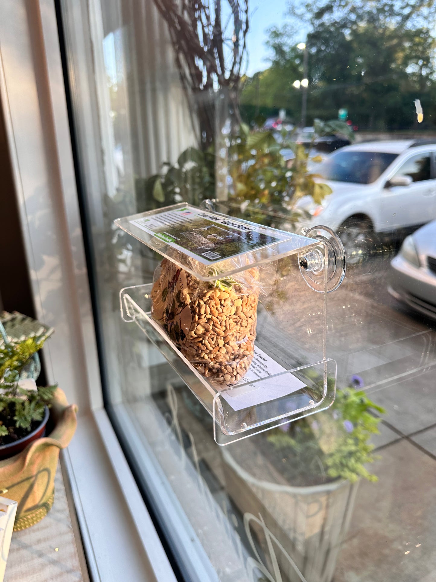 Watch the Birds Window Bird Feeder