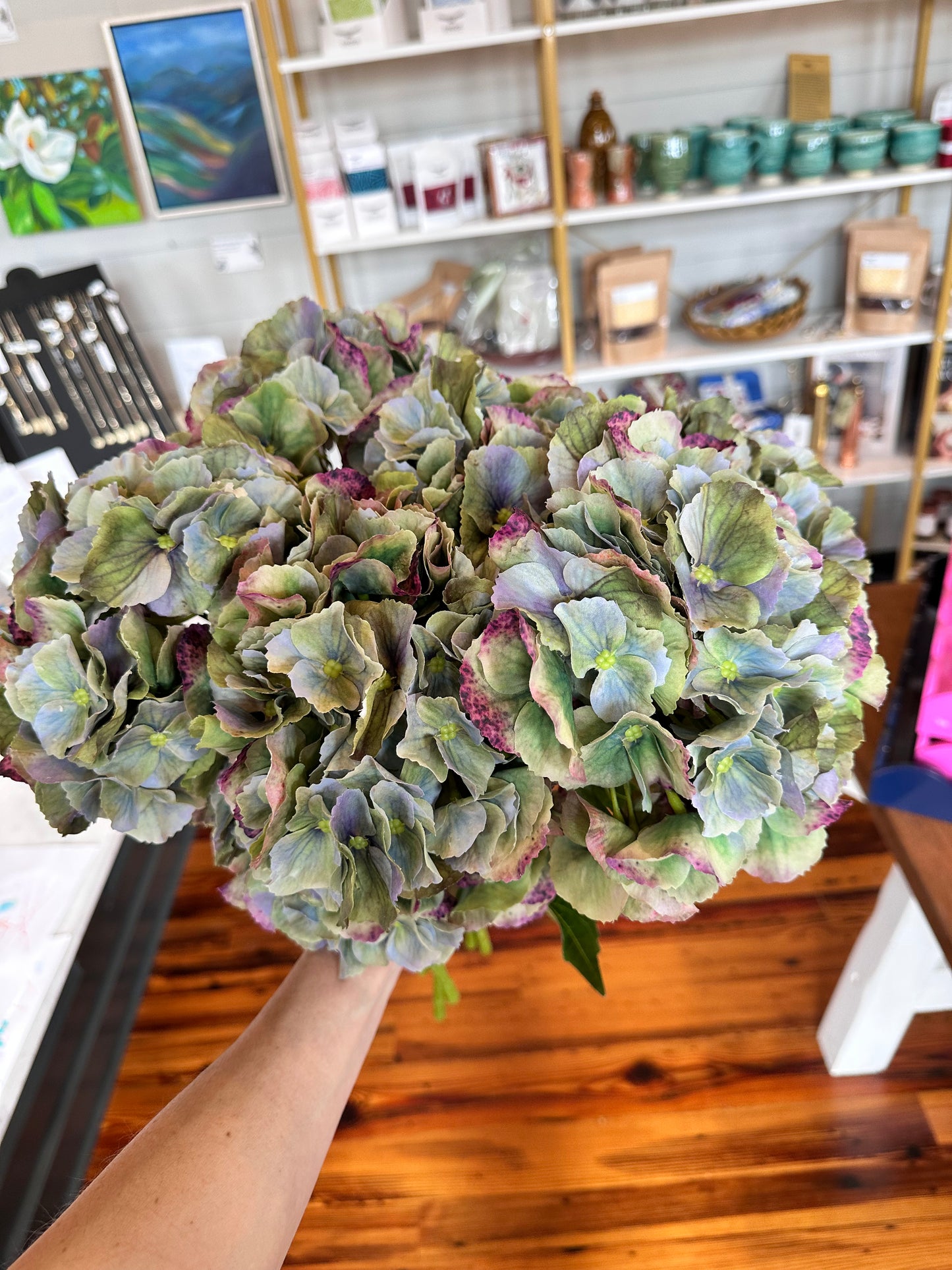 Hydrangea stem