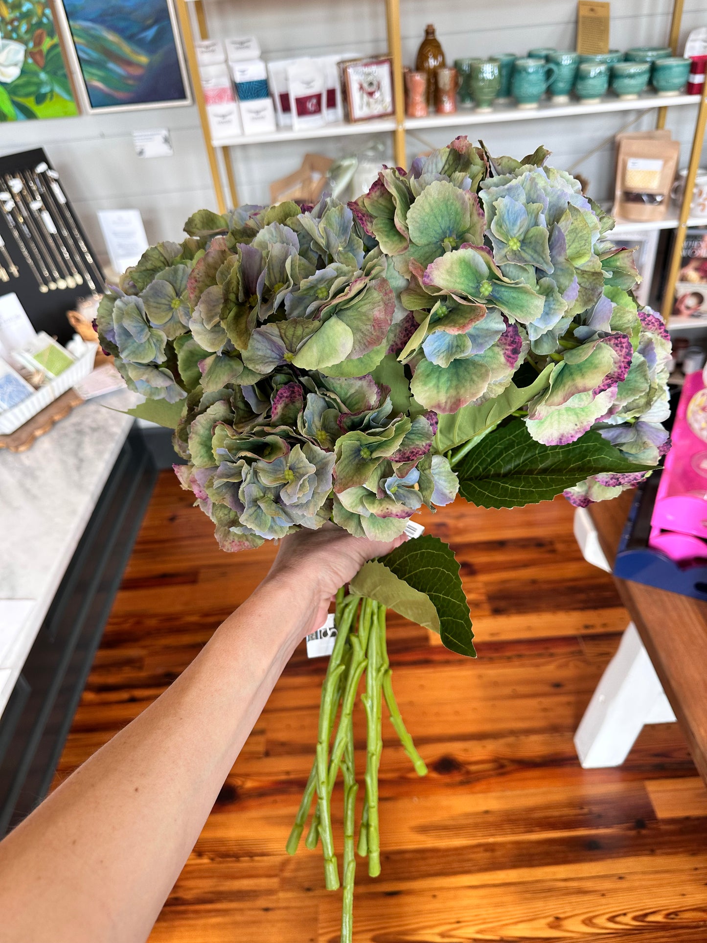 Hydrangea stem