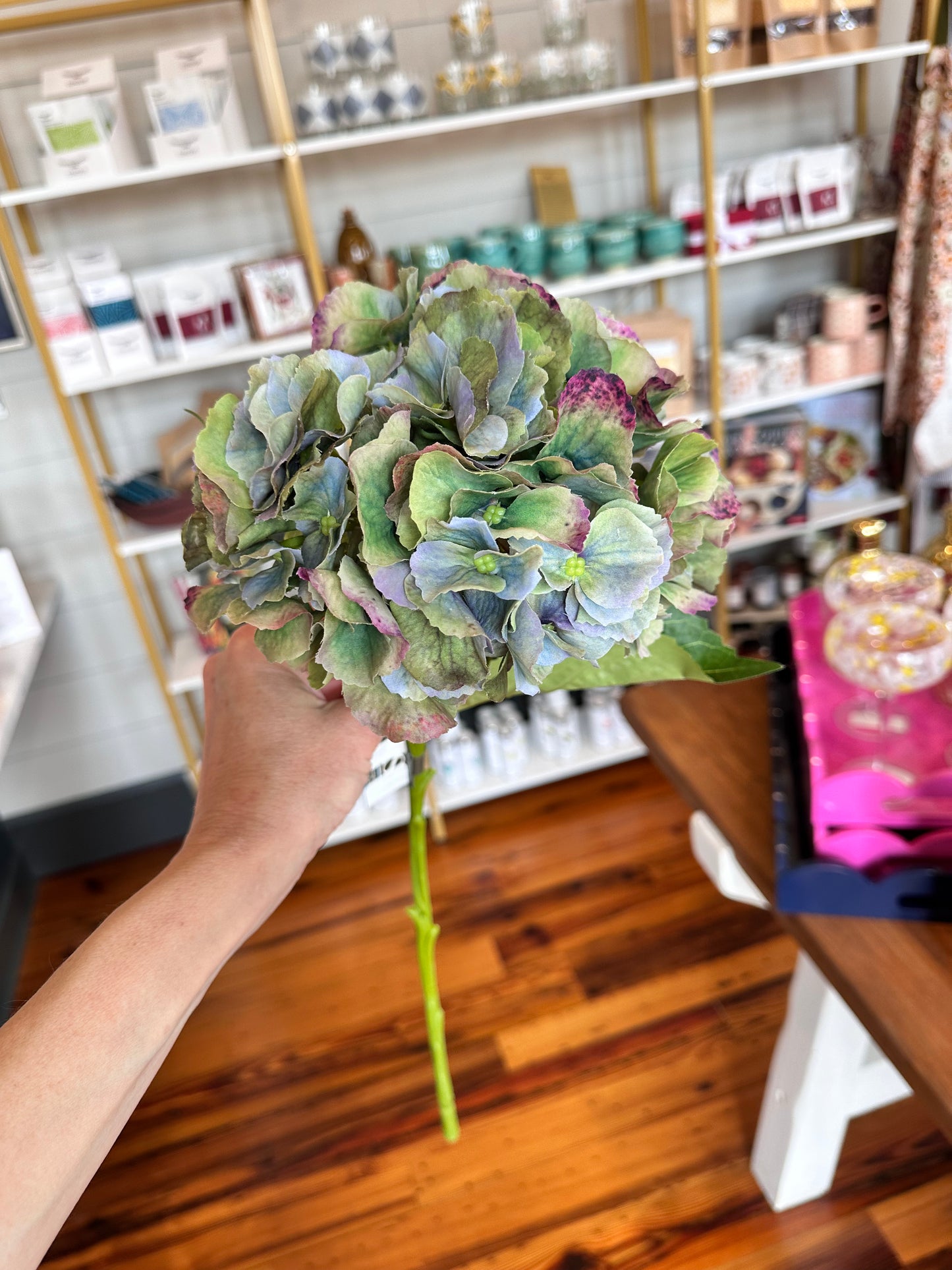 Hydrangea stem