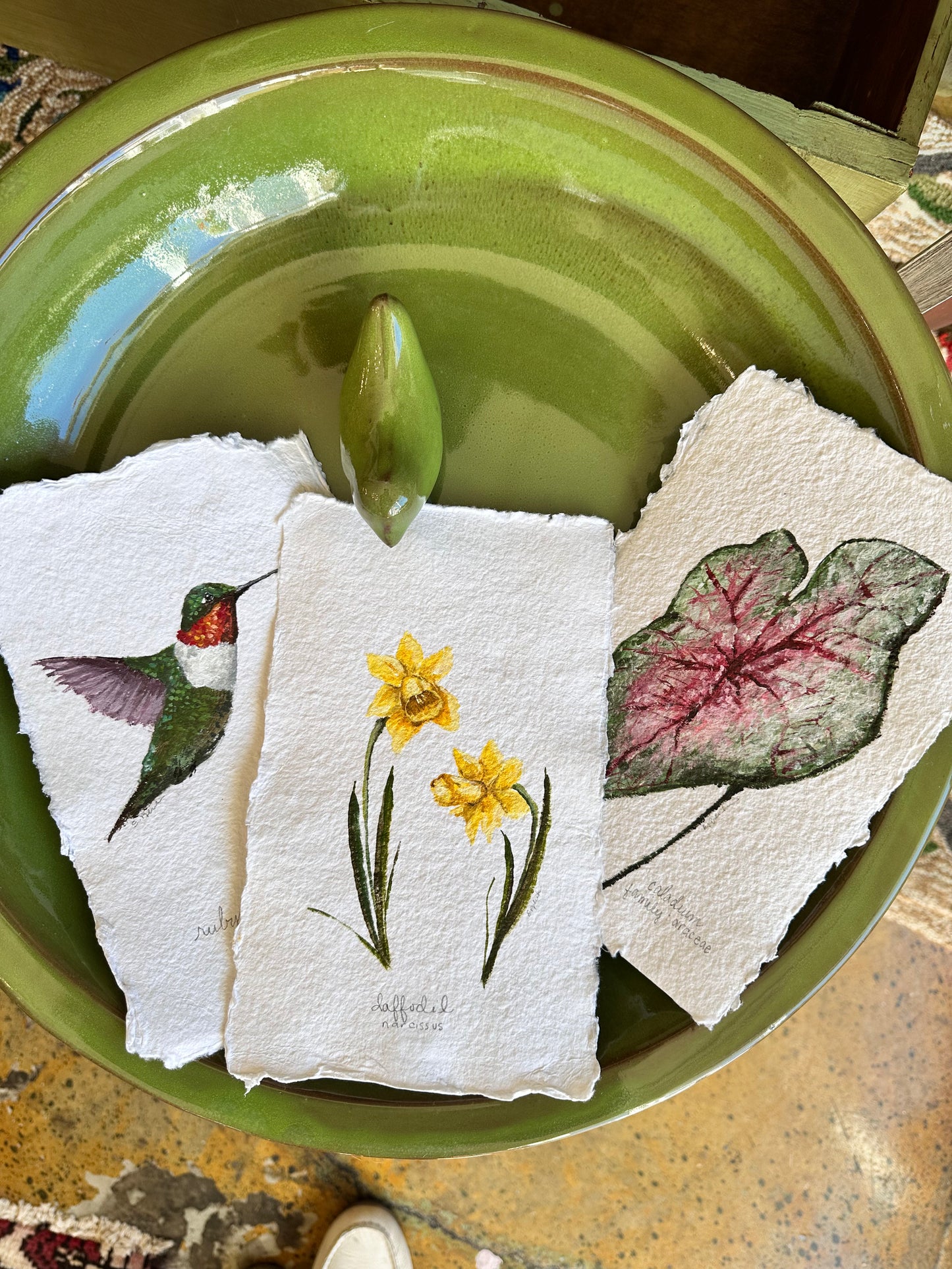 8x5" Assorted Nature Original Art with Deckled Edges