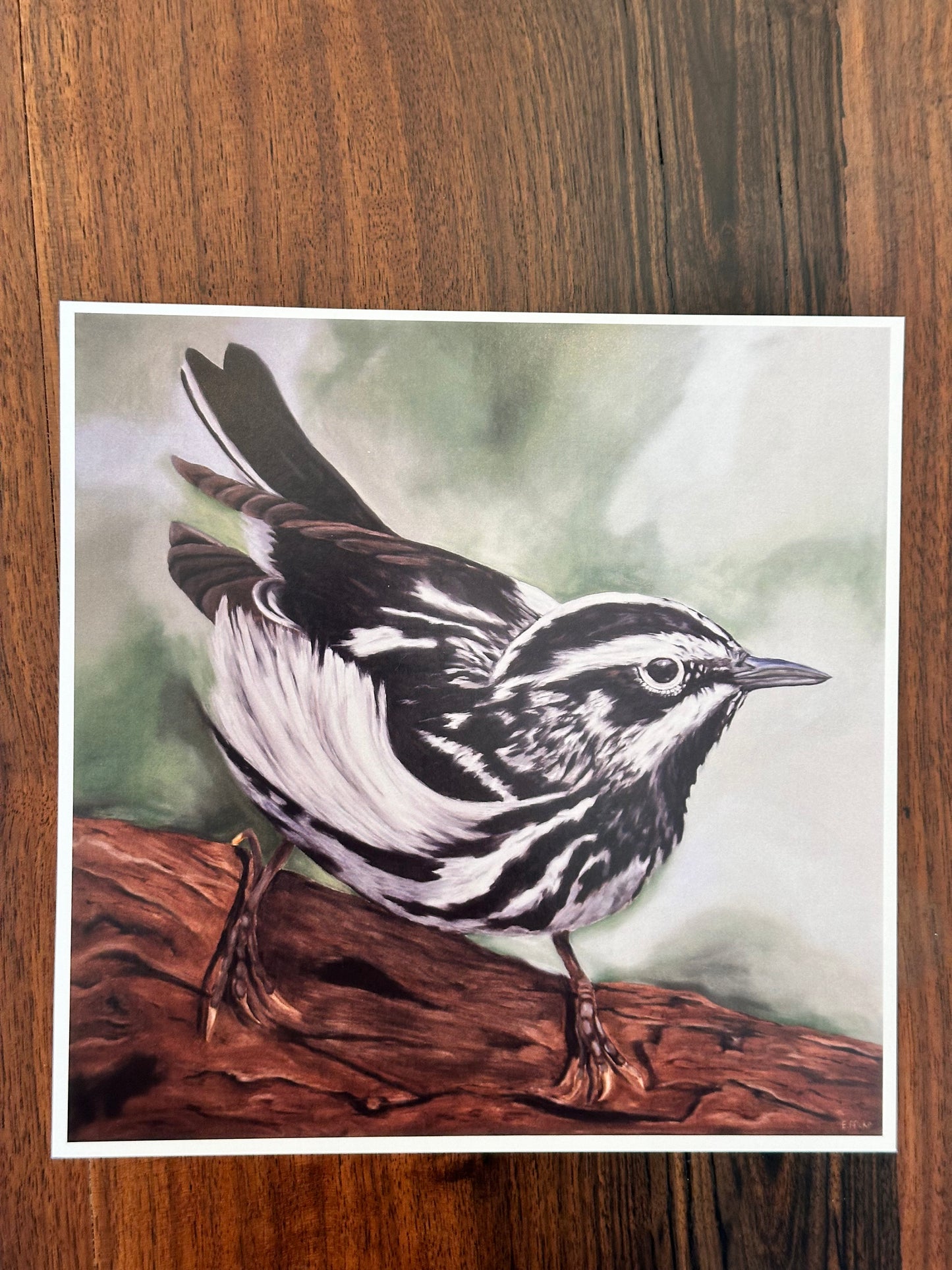 Black & White Warbler Art Print 8x8