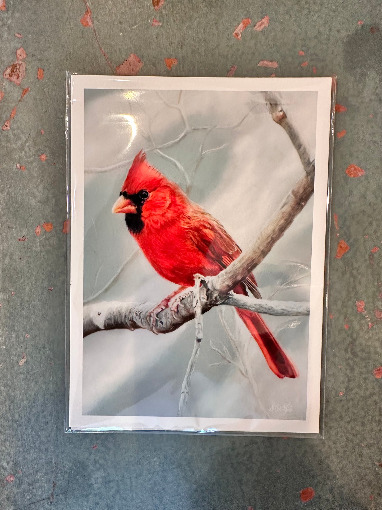 Cardinal Print. 8x10”