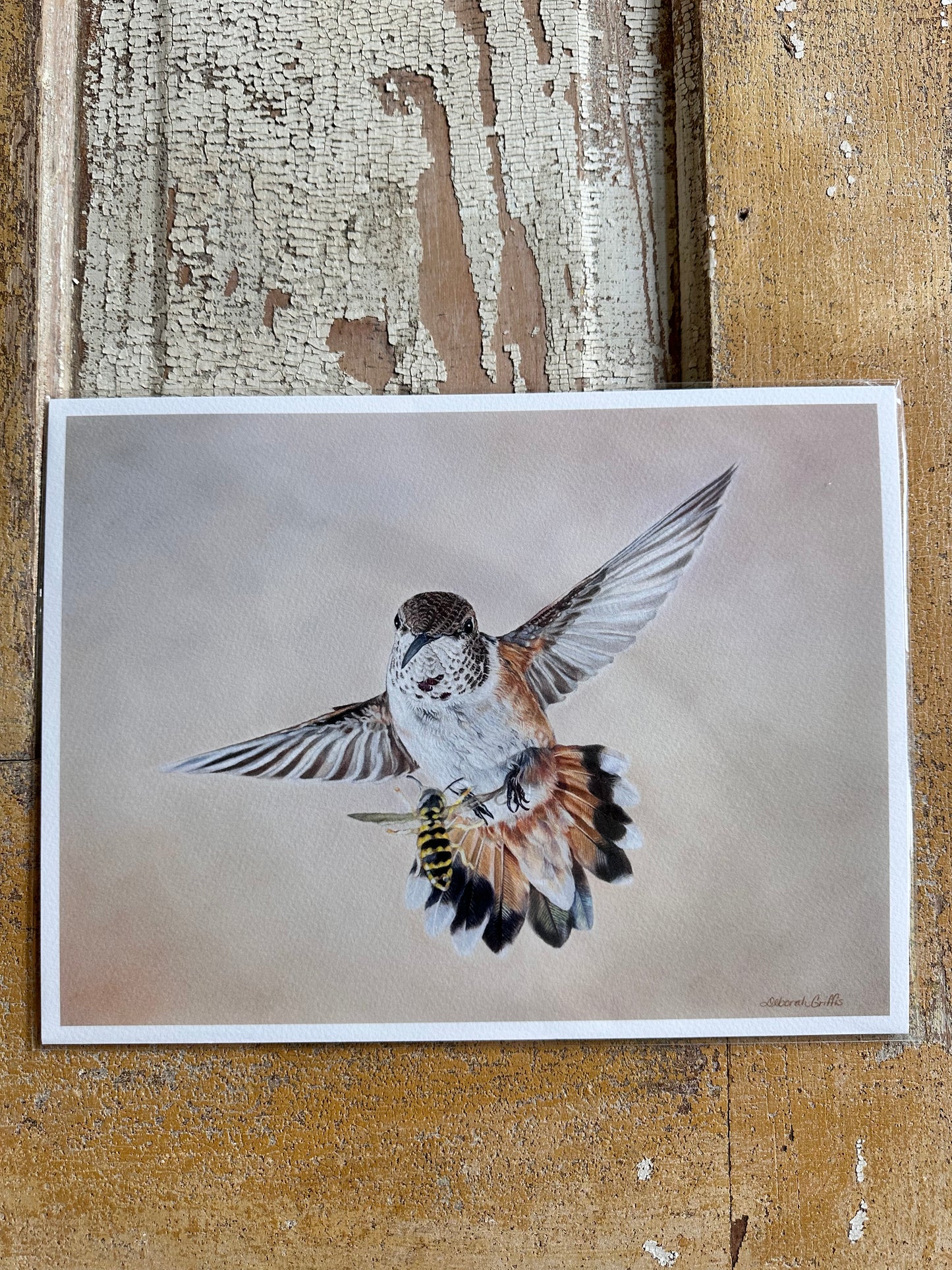 Hummingbird Print 9x12"