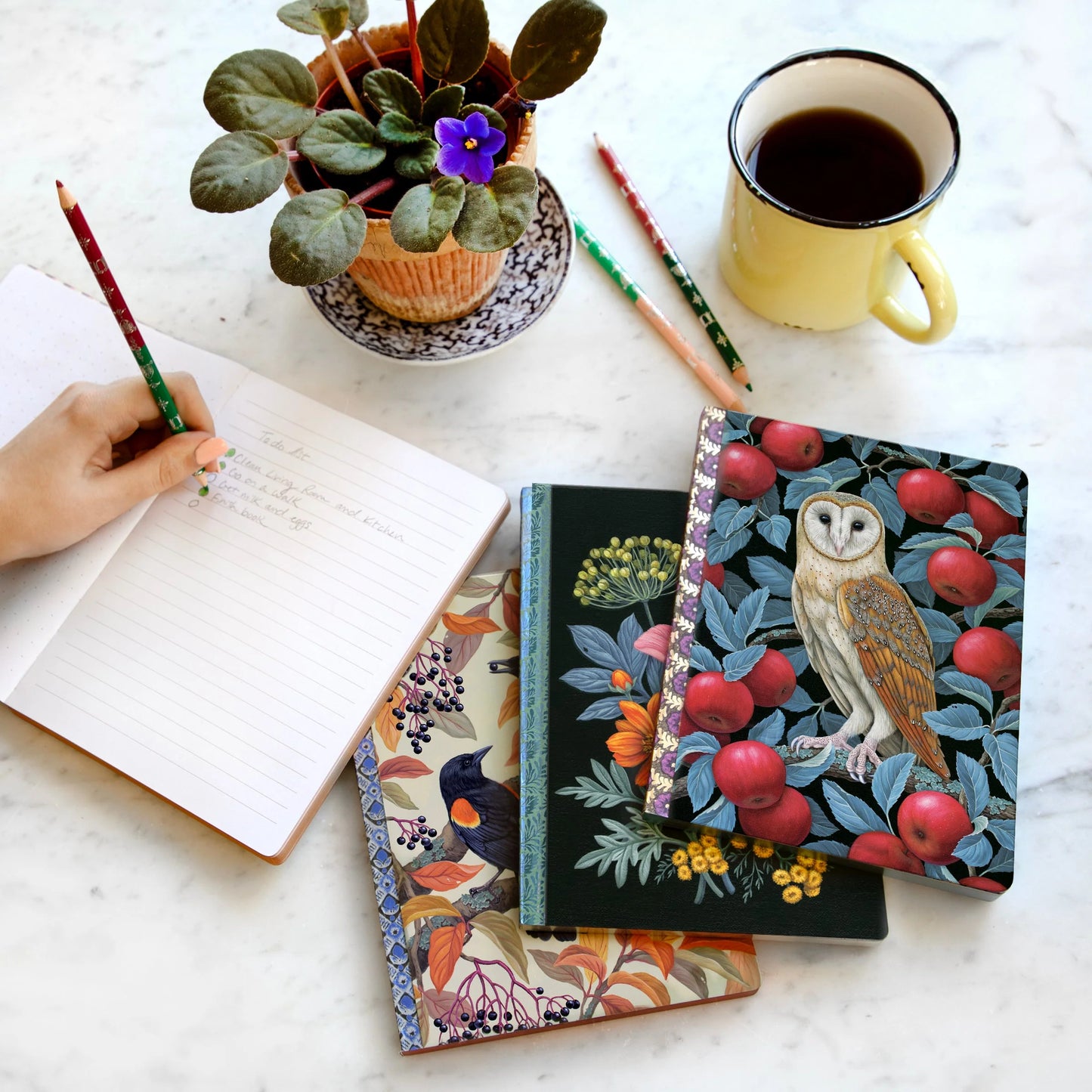 Victorias Little Book Set