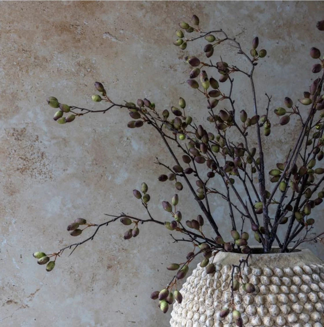 Barberry