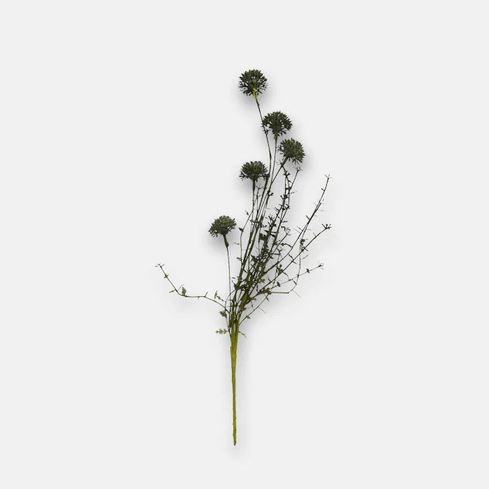 Melaleuca Dusk Stem