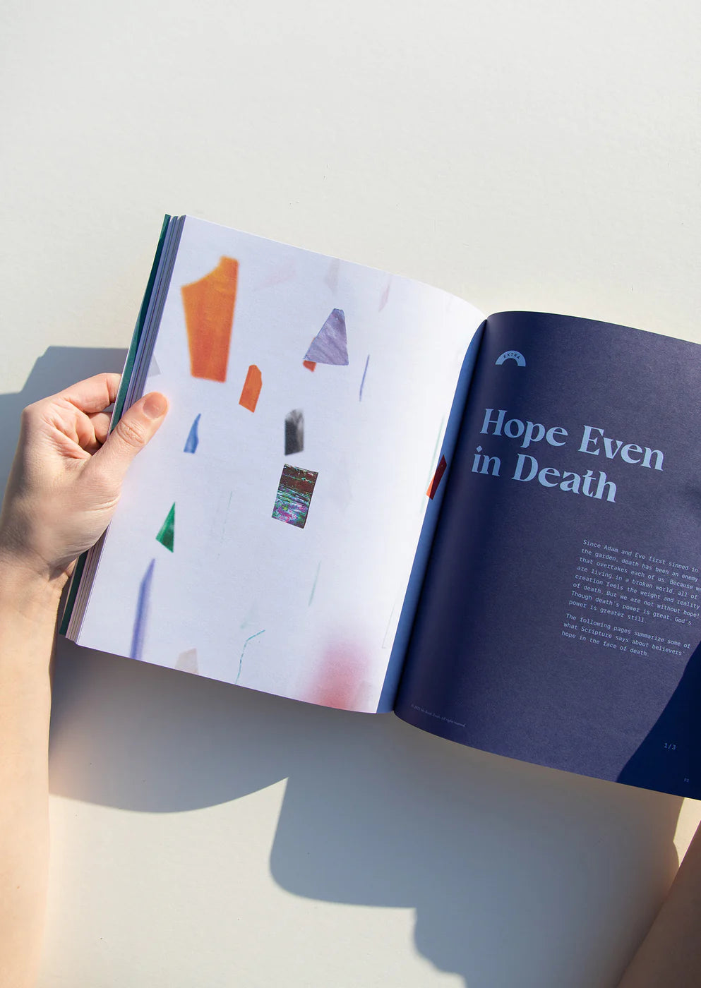 A Living Hope Women's Reading Guide