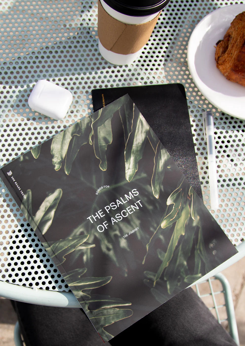 The Psalms of Ascent Reading Guide