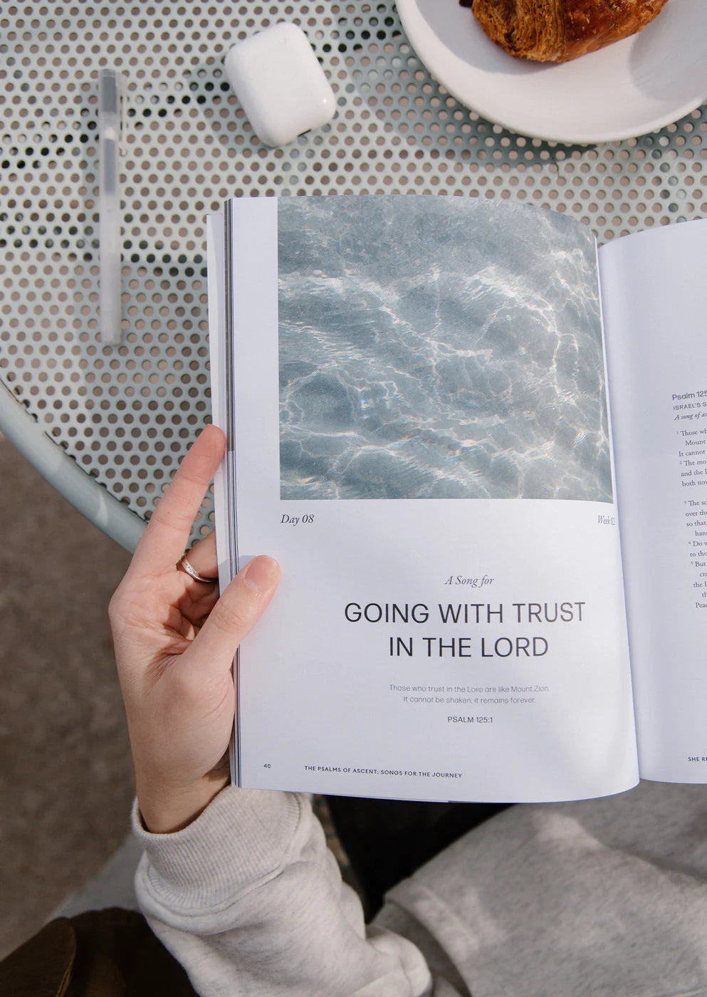 The Psalms of Ascent Reading Guide