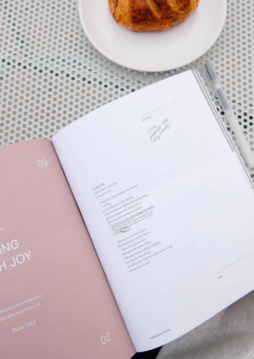 The Psalms of Ascent Reading Guide